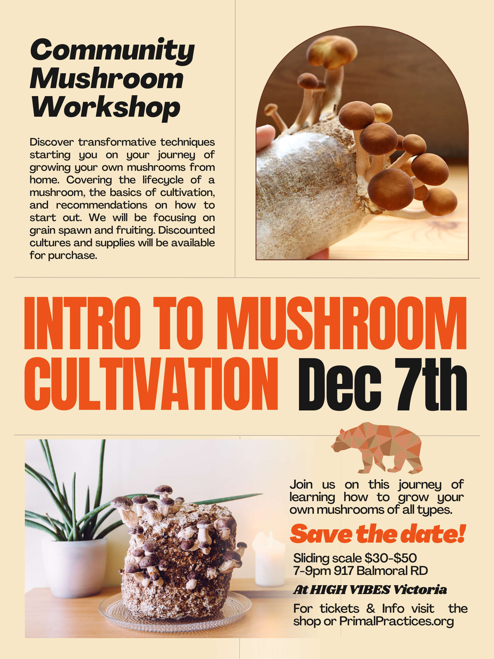 Intro To Mushroom Cultivation Workshop