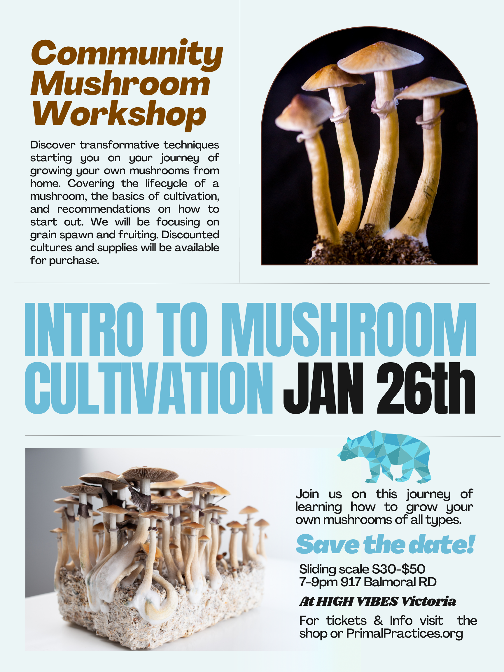 Intro to mushroom cultivation