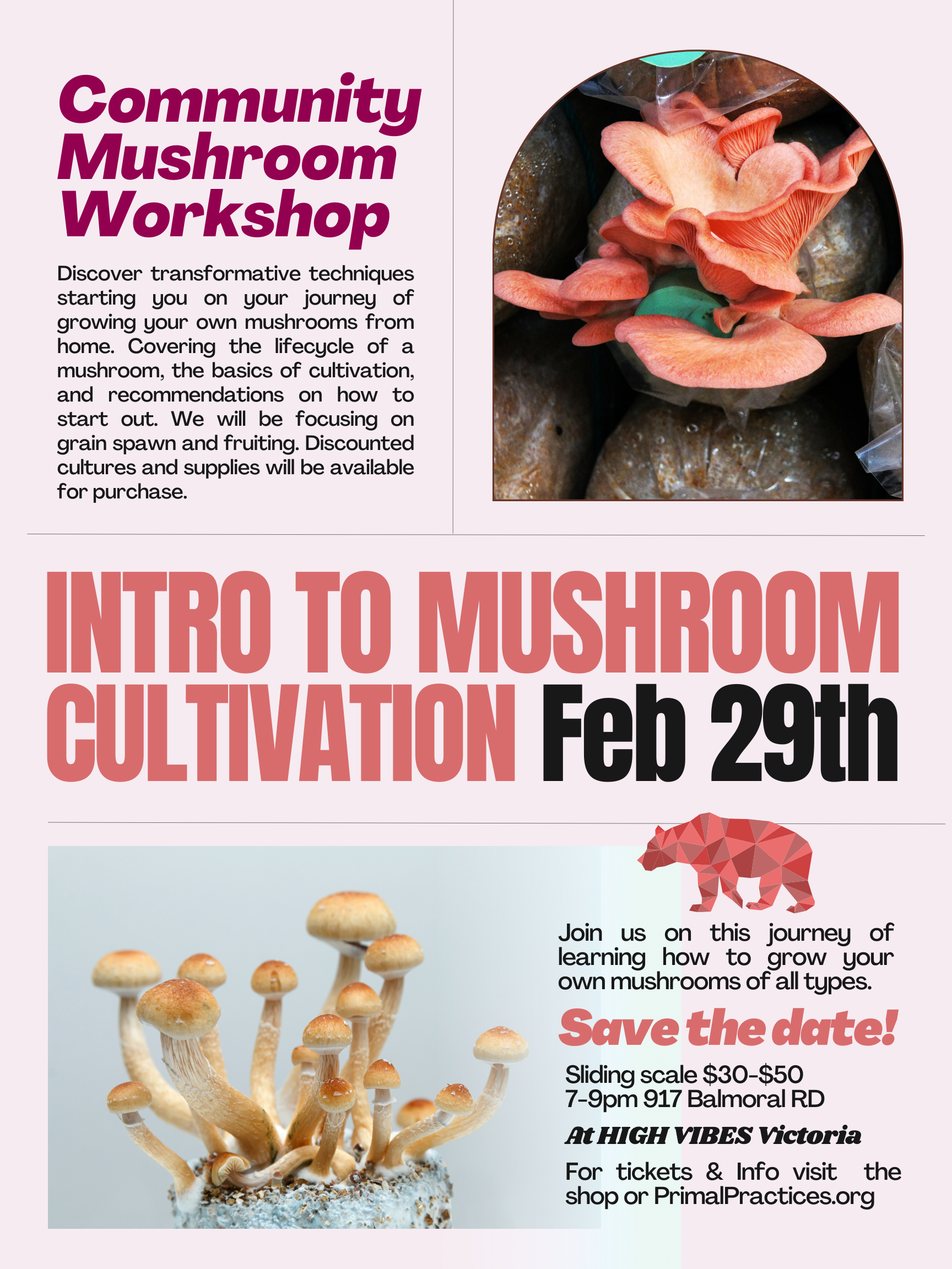 Intro to Mushroom Cultivation Feb