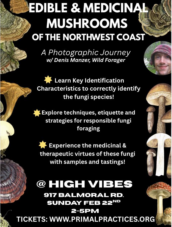 Edible & Medicinal Mushrooms of the Northwest