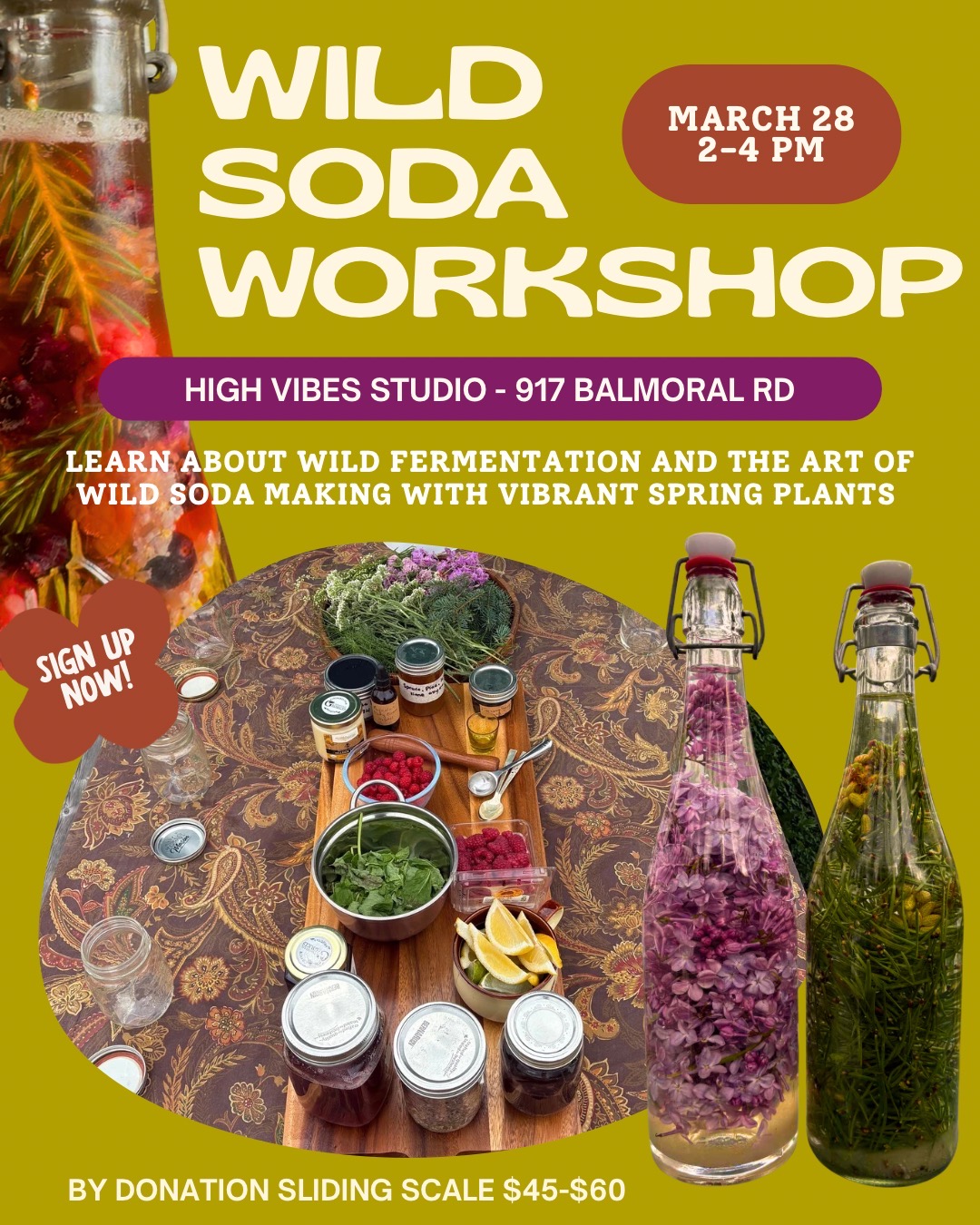 Wild Soda Workshop